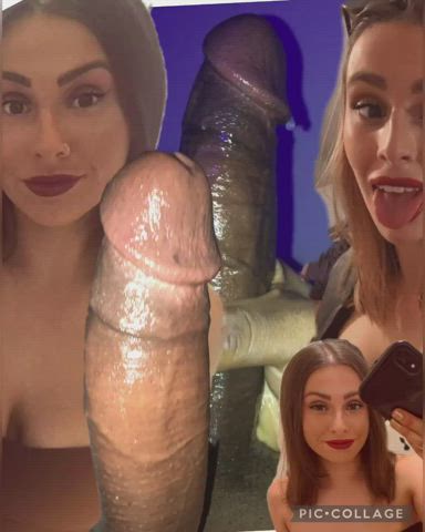bbc babecock big dick tribute gif