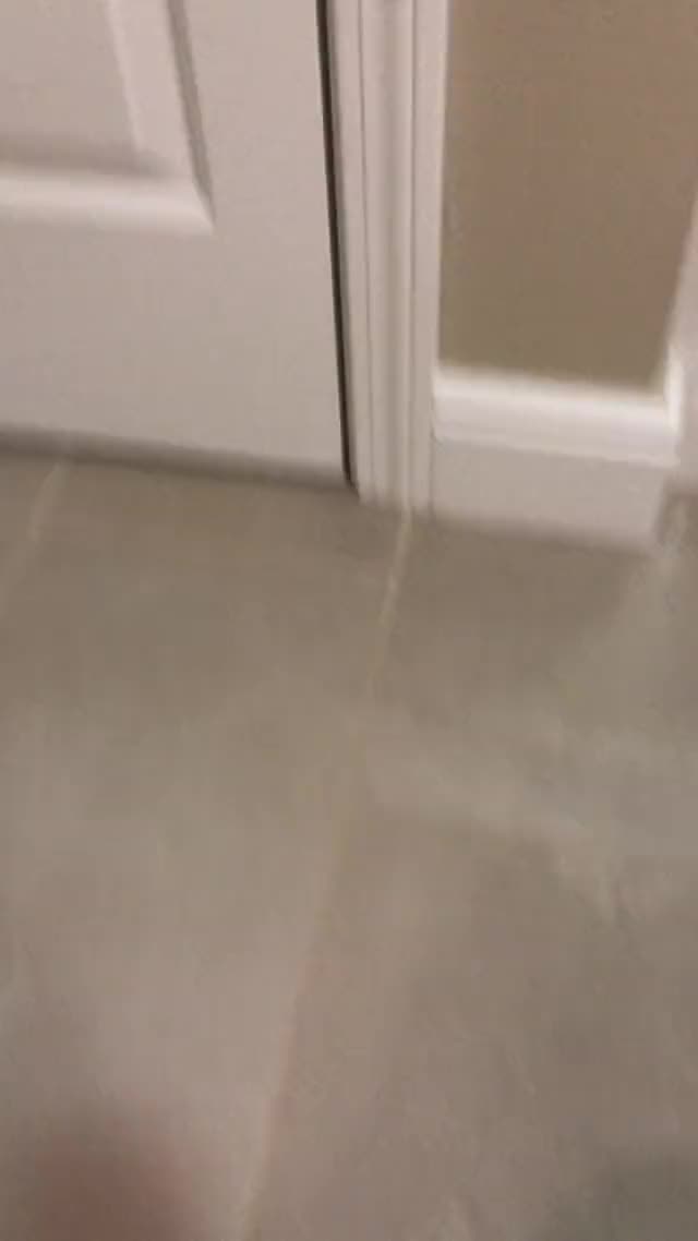 Candy cane cum
