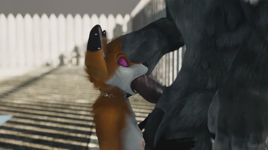 animation big dick big tits blowjob breeding cum in mouth cumshot furry sex size