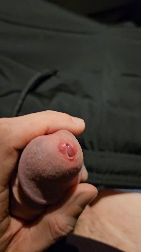 cock cum precum gif