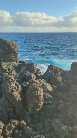 This was definitely one of the highlights of our hike this morning!