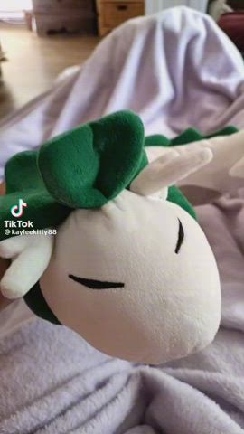 flashing pussy tiktok gif