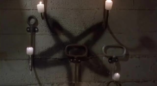 Night Visitor - Teri Weigel