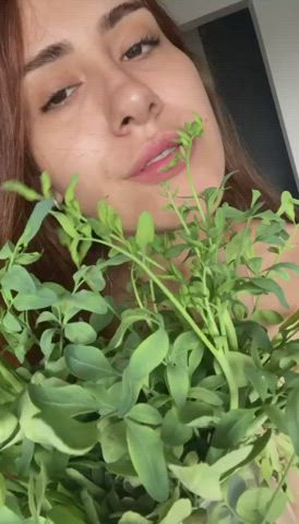 babe busty cute latina legal-teens petite gif