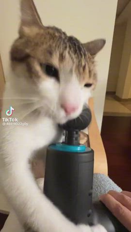 Pussy gets teased with a massager (careful soldier big HORNI warning)
