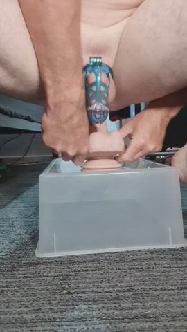 big dildo fun