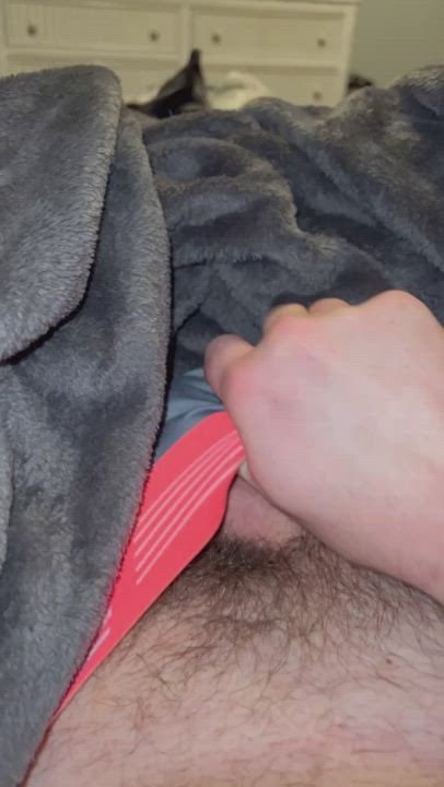 See my morning wood