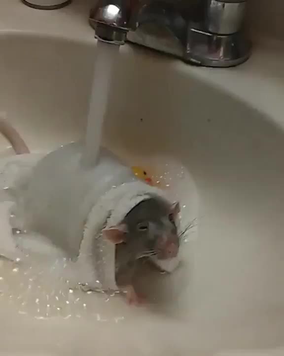 shower time
