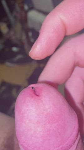 Cock GIF by slalom