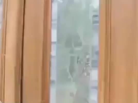 VID 20190422 133331 005