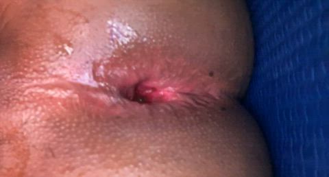 anal ass asshole big dick booty cum dildo femboy gay riding gif