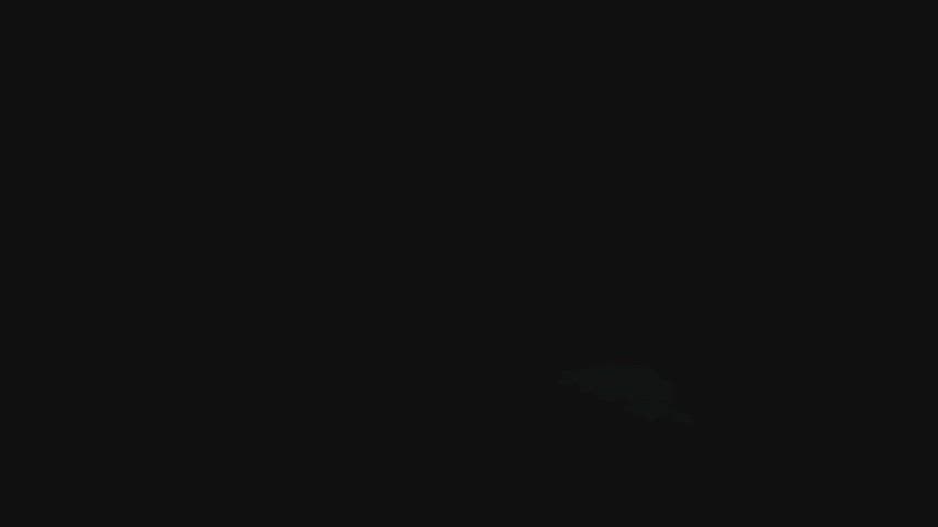 animation furry gay gif
