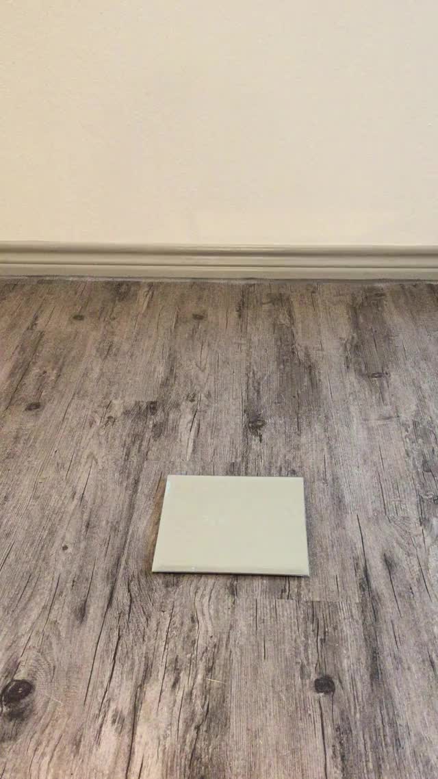 IMG 0526