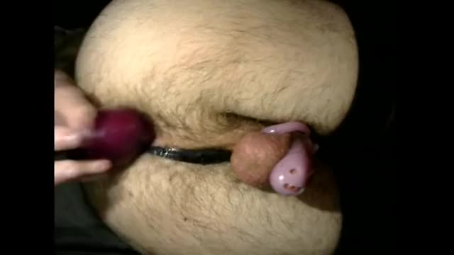 Sissy gif