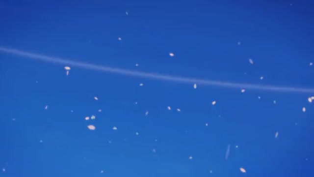 Dissidia Final Fantasy NT - Rinoa Announce Trailer | PS4