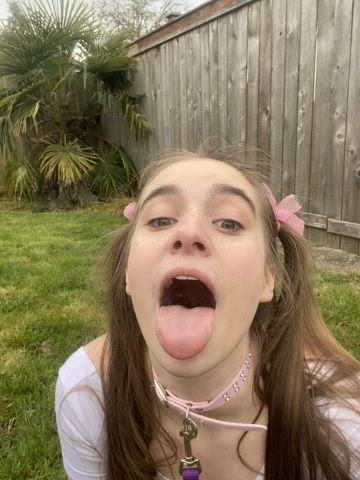 Silly dumb puppy