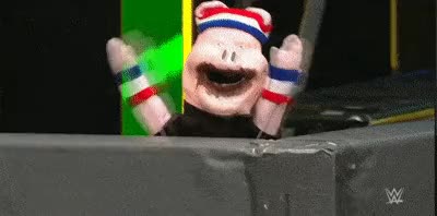 Wrestling gif