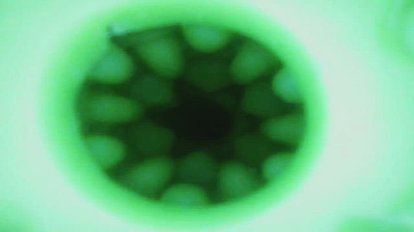 fleshlight jerk off male masturbation gif