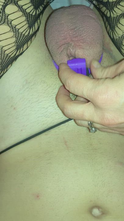 Chastity Chastity Belt Cuckold Femdom Sissy Submissive gif