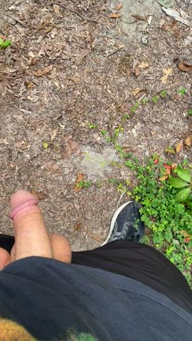In the middle of the hiking trail