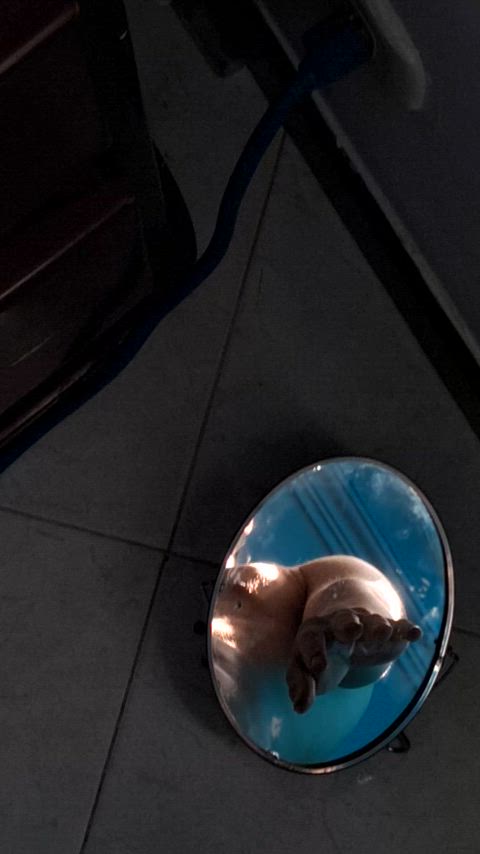big dick mirror nude art gif